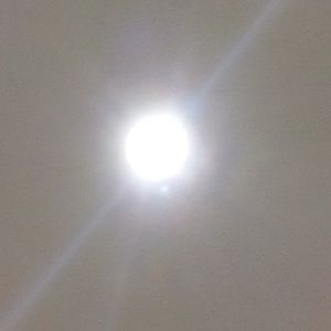 Meet your Posher, Noel